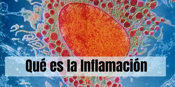 Qué es la Inflamación